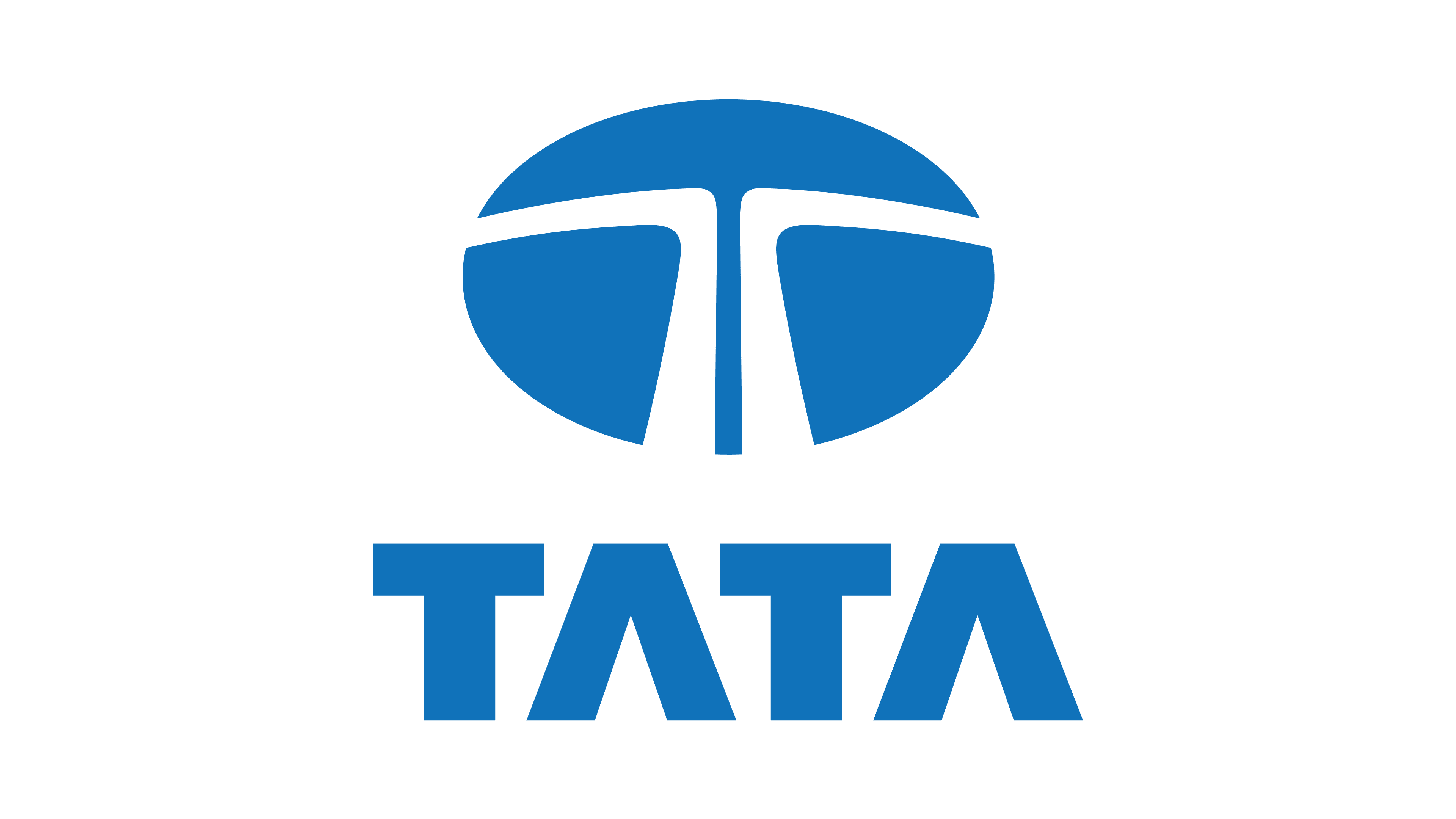 Our client Tata group