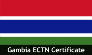Why Us 18 Gambia ECTN Certificate